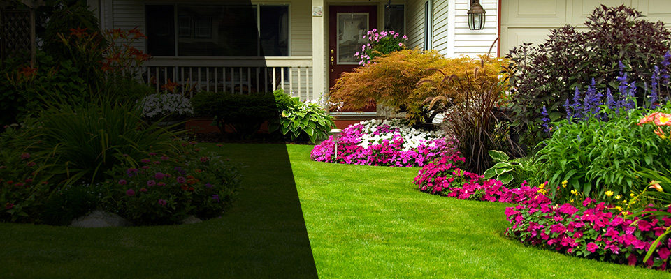 Centreville Landscapers
